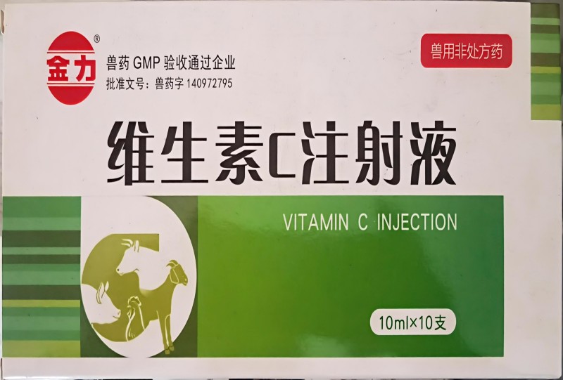 维生素C注射液金力